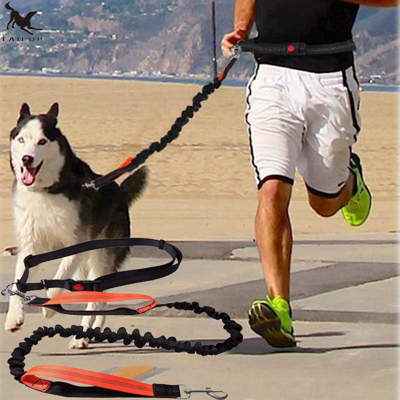 Running Dog Hand Leash